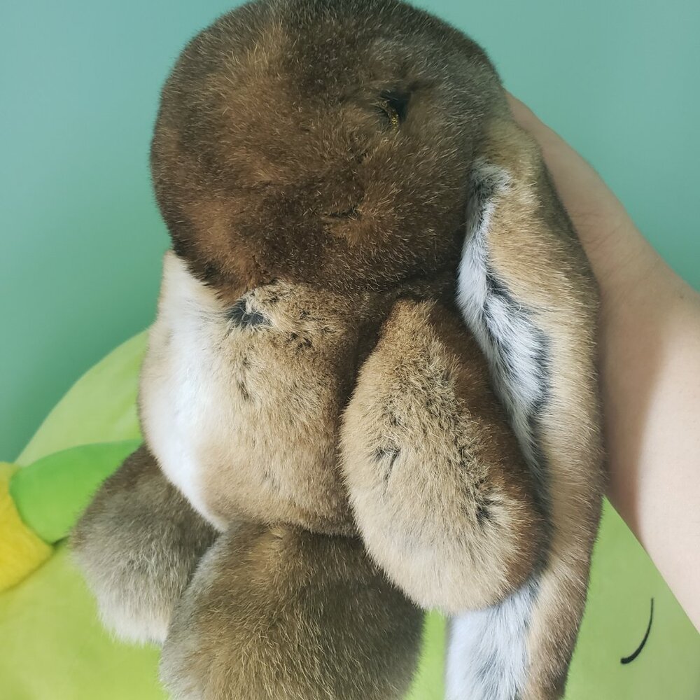 Rabbit - Picture 3 of 6